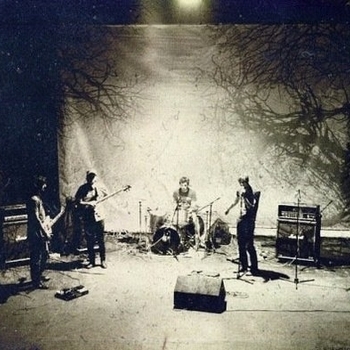 Follow the White Rabbit - All Night And Day