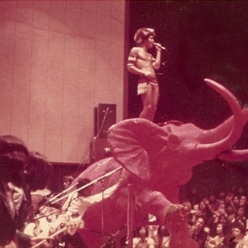 Flower Travellin' Band - That's All