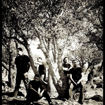 Falling Leaves - Blight