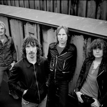 Free Fall - Skydiving in 4K