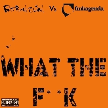 Fatboy Slim vs. Funkagenda - What The Fuck (Kim Fai Remix)