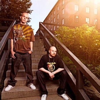 Fintelligens - Pää pystyyn