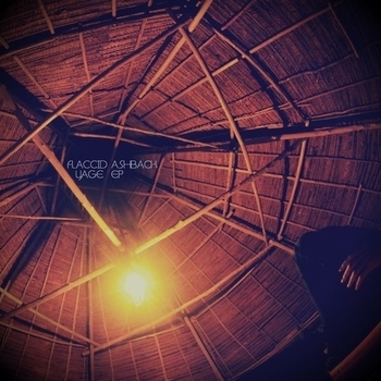 Flaccid Ashback - Synchronicity