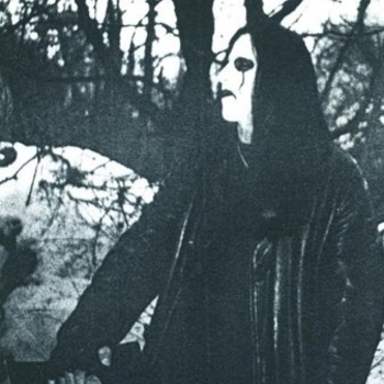 Forest Silence - song pine 147545