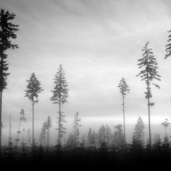 Frozen Silence - Howl's Moving Castle Theme: Merry-Go-Round of Life - Piano