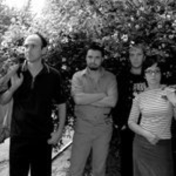 Fotomoto - Vyuga v Lesu