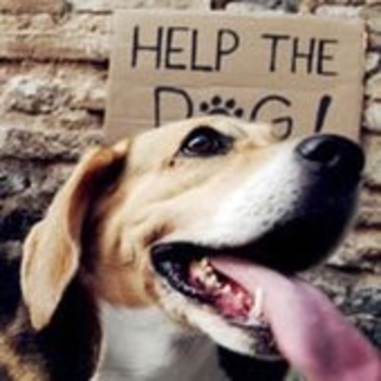 Felipe Cazaux - Walking Under the Sun