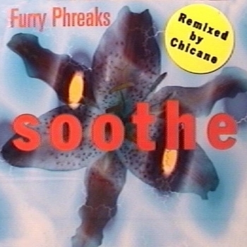 Furry Phreaks feat. Terra Deva - Want Me (Like Water)