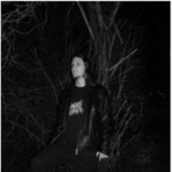 Forest of Fog - Das Licht Erlosch