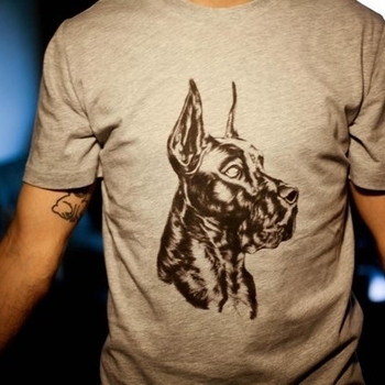 King Henry, Great Dane - King Henry & Great Dane -Tamale