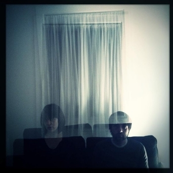 Gold Zebra - Love, French, Better