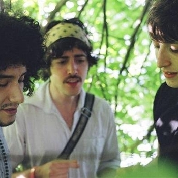 Golden Silvers - Please Venus