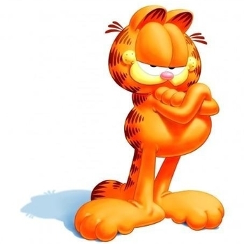 Garfield - Cool Cat
