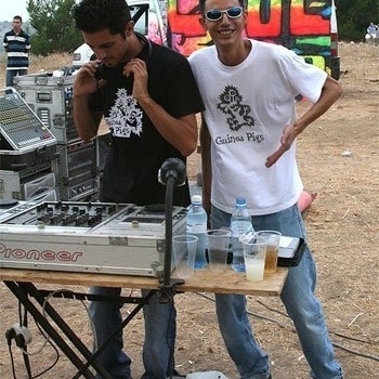 Guinea Pigs - Blank Page