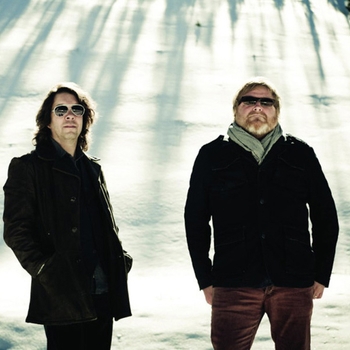 Артист Hammock