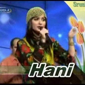 Артист Hani