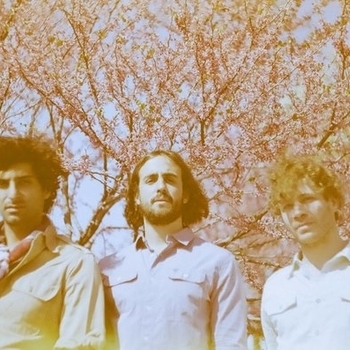 Hey Champ - Cold Dust Girl