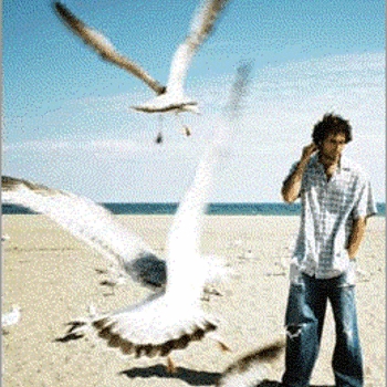 Hibernate - Push Me (feat. Lynn Moffatt)