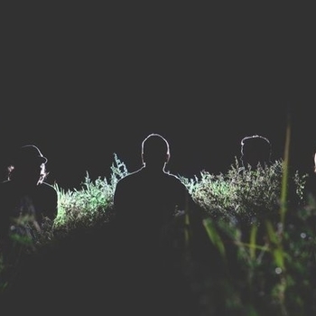 HRVRD - Cardboard Houses