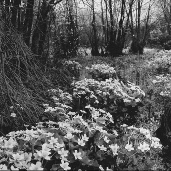 Hmot - Kissmegoodbye