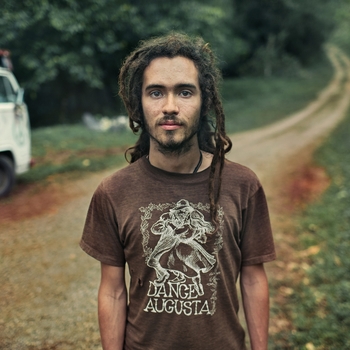 Hippy Cat - Superior Model