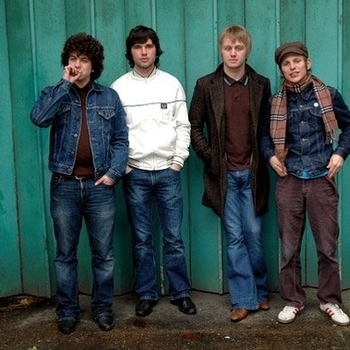 Harrisons - Crystal Sweet