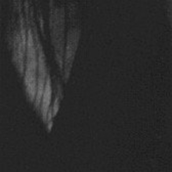 Hostis - Последняя Птица