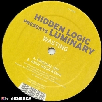 hidden logic presents luminary - Amsterdam (Smith & Pledger remix edit)