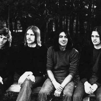 Heron - Welcome to the Adventure Club