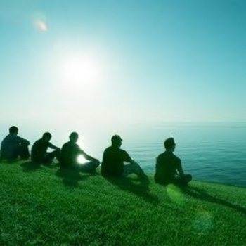 If These Trees Could Talk - Deus Ex Machina