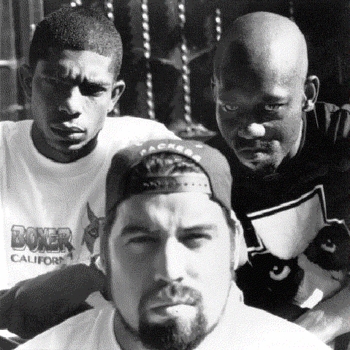 Insane Poetry - Black Widow