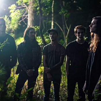 Invent, Animate - Courier