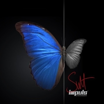 IMPUL'S - Судьба