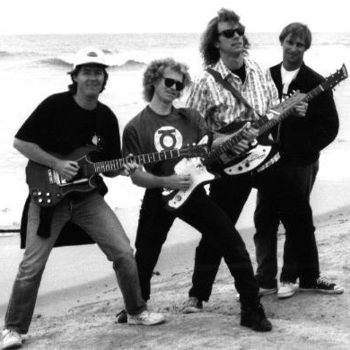 Insect Surfers - 77 Gaza Strip