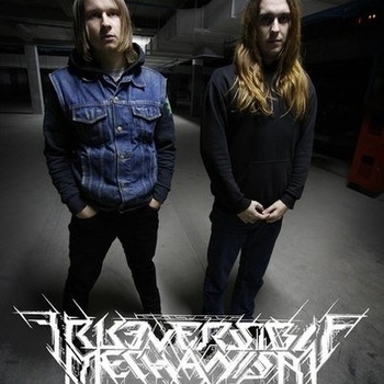 Irreversible Mechanism - Into the Void