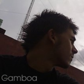 Ioan Gamboa - The Black Sheep (Anatomica remix) / {GD}