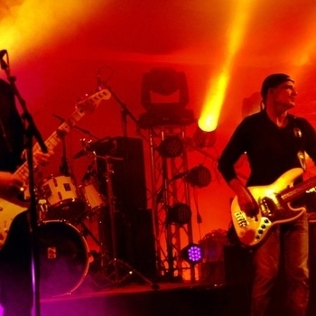 Indigo Rocks - C.O.D.