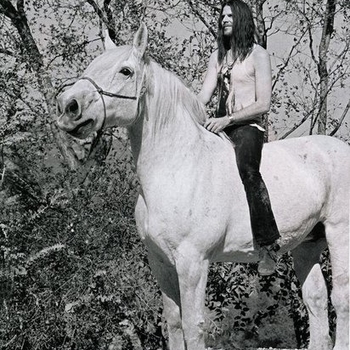Jonathan Wilson - Desert Raven