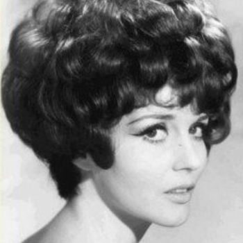 Julie Rogers - The Wedding