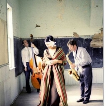 Артист Jeni Fleming Acoustic Trio