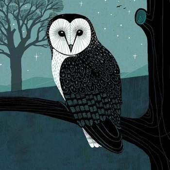 Future Shuttle - Fields Of Dreams