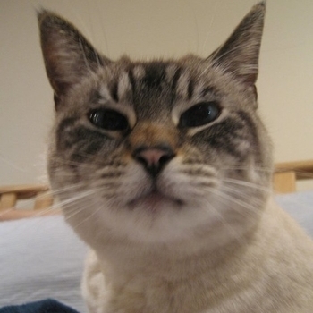 KM - Батарейка (Cover)