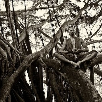 Kaminanda - Elixir of Tears