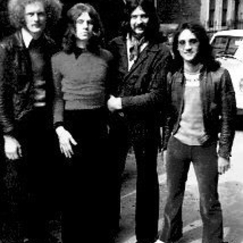 Little Free Rock - Big Bird