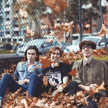 Lunatics on Pogosticks - Do You Think I'm A Taco Bell Kind Of Guy?