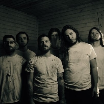 The Lorelei - S.T.O.P.