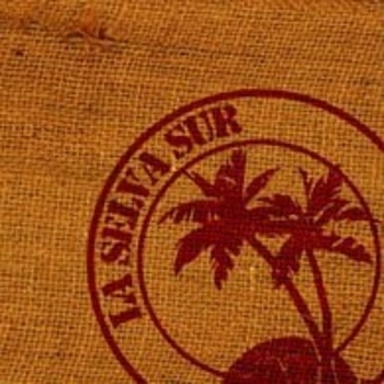 La Selva Sur - Mis Terrores Favoritos