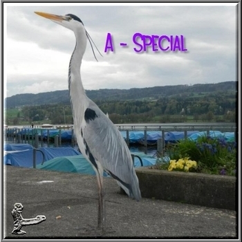 Andrea Dub - The Crowd (Original Mix)