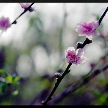 Laurent Dury - Satisfied Fellow