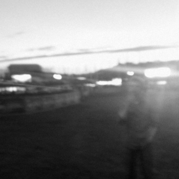 Ludique - Wolves, Dogs and Sons